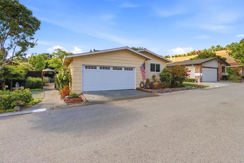Photo of 213 Mountain Springs Drive, San Jose, CA 95136 (MLS # ML82048443)