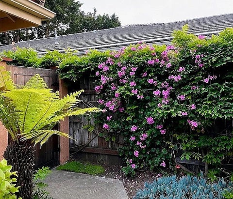 Tiny photo for 1770 Baden AVE, Grover Beach, CA 93433 (MLS # OC26184852)