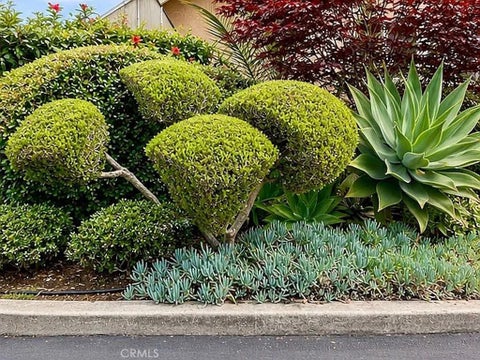 Tiny photo for 1770 Baden AVE, Grover Beach, CA 93433 (MLS # OC26184852)