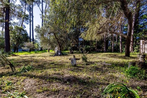 Tiny photo for 1935 Spencer Street, Cambria, CA 93428 (MLS # SC26058000)