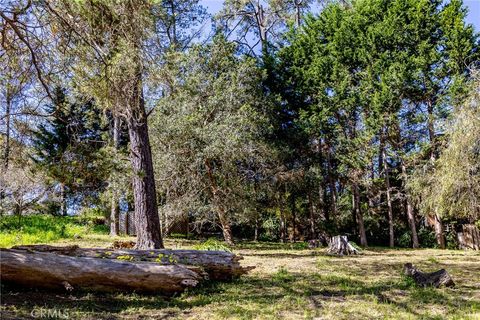 Tiny photo for 1935 Spencer Street, Cambria, CA 93428 (MLS # SC26058000)