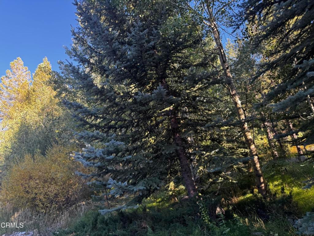 Lot 1 Aspen Grove Lane