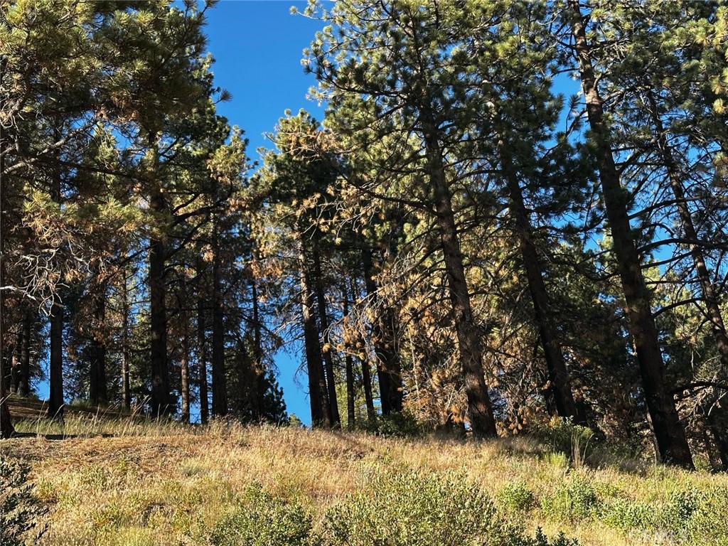 Escape to the Mountains!
Build your dream cabin on this 2,040 sqft lot (APN: 0327-189-59) located in the heart of Lake Arrowbear, one of the most charming and peaceful mountain communities in Southern California. Surrounded by majestic pine trees and just a short stroll from the beautiful Arrowbear Lake, this property is perfect for creating your private escape in nature. Imagine waking up to the crisp mountain air, the sound of birds, and the peaceful feeling only the forest can bring.
This area is full of rustic charm with cozy cabins, friendly neighbors, and paved road access. You're just minutes from Lake Arrowhead, Running Springs, and Snow Valley Ski Resort, making it an ideal spot for both summer and winter adventures. Utilities are nearby, and the lot offers year-round enjoyment.
This is your chance to own a piece of mountain paradise where you can relax, recharge, and enjoy the simple life. Whether you're building your vacation getaway or looking for a long-term investment, this lot offers location, beauty, and endless potential. Don’t miss it!