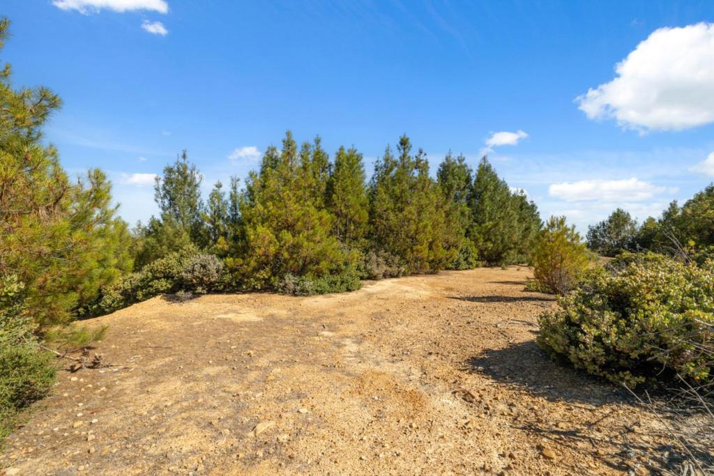 Summit Road