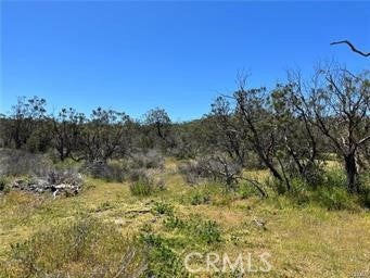 1 Barbara Trail
