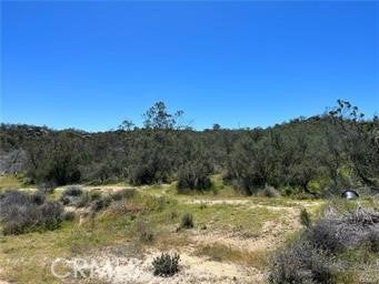 1 Barbara Trail