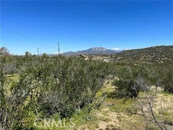1 Barbara Trail