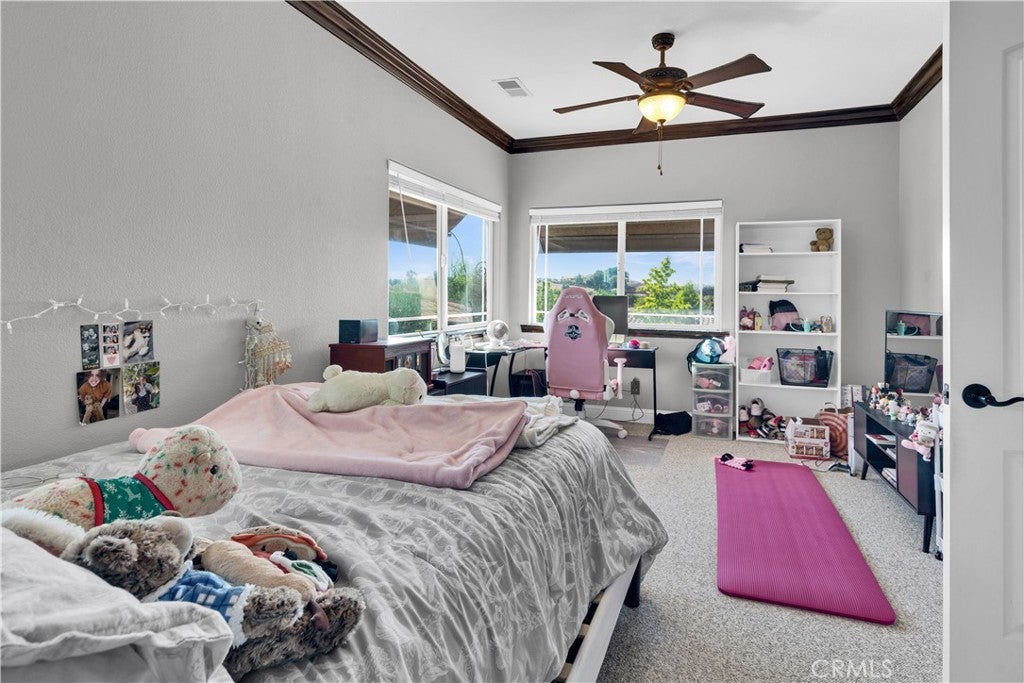503 Red River Dr, Paso Robles, CA, 93446, USA, 4 Bedrooms Bedrooms, ,3 BathroomsBathrooms,Residential,Active,503 Red River Dr,NS26169104