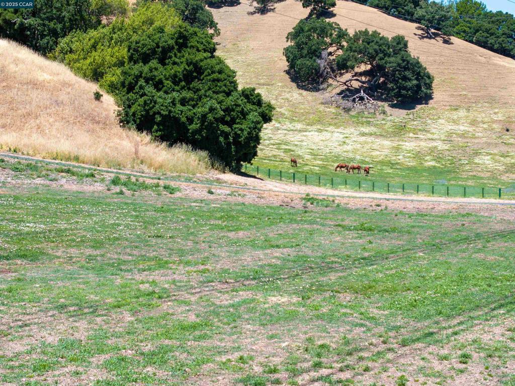 BRIONES - Residential