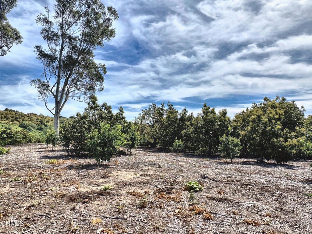 0 Grimes Canyon Road