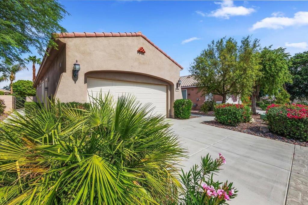 81708 Avenida De Baile