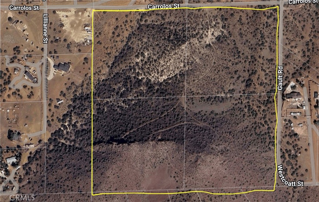 Just reduced! This is a deal!!!! 40 acres! There are homes nearby! The seller has inherited this property and is pricing it for immediate sale. The price includes four parcels; you get all four for $130,000. Over 40 acres!!! Each parcel is about 10 acres. There is no actual street address; some of the parcels have an APN, with one labeled as ST Mountain Pl and another listed as 28th St. There are homes in the immediate area!