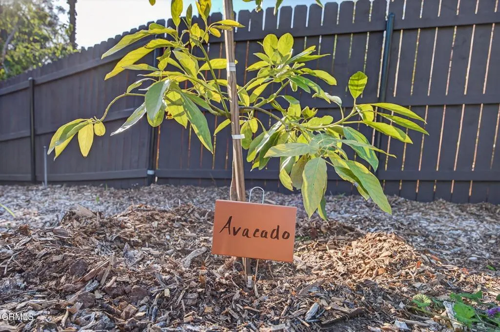 Ojai, California 93023, United States, 4 Bedrooms Bedrooms, ,5 BathroomsBathrooms,Residential,Active,221268