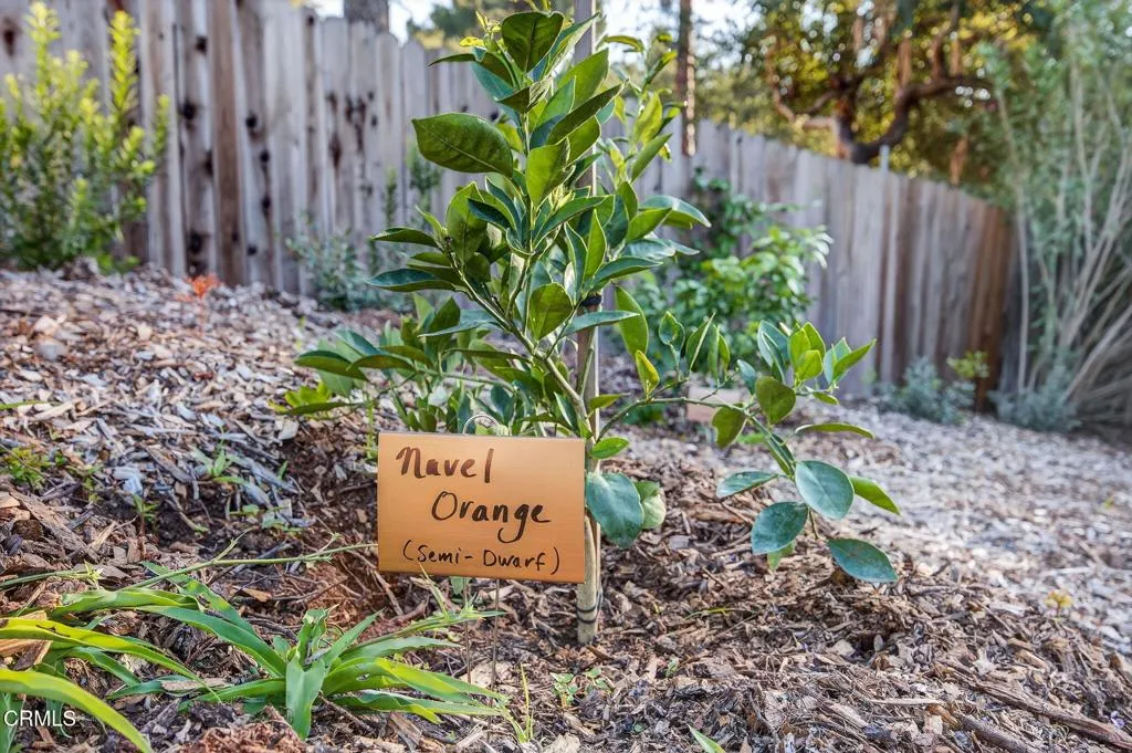Ojai, California 93023, United States, 4 Bedrooms Bedrooms, ,5 BathroomsBathrooms,Residential,Active,221268