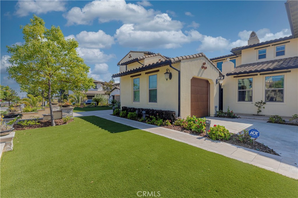 253 Clementine Court