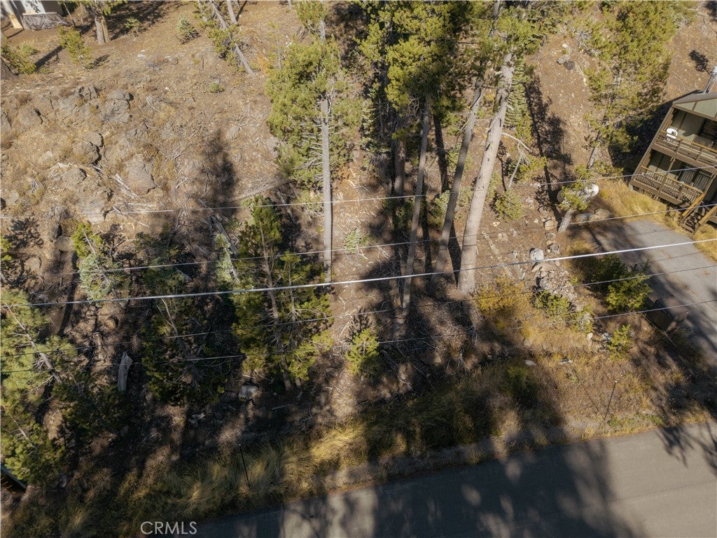 7233 Palisade