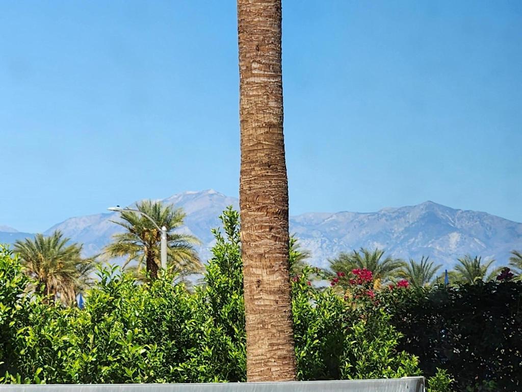 Outdoor Resorts Palm Springs - Land