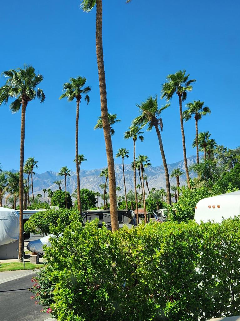 Outdoor Resorts Palm Springs - Land