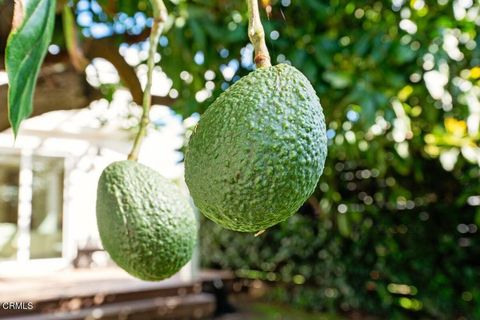 Tiny photo for 242 E Mcfarlane Drive, Ventura, CA 93001 (MLS # V1-35016)