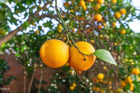 Tiny photo for 242 E Mcfarlane Drive, Ventura, CA 93001 (MLS # V1-35016)