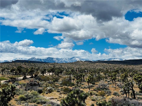 Photo of 57864 Sunflower Drive, Yucca Valley, CA 92284 (MLS # JT26114841)
