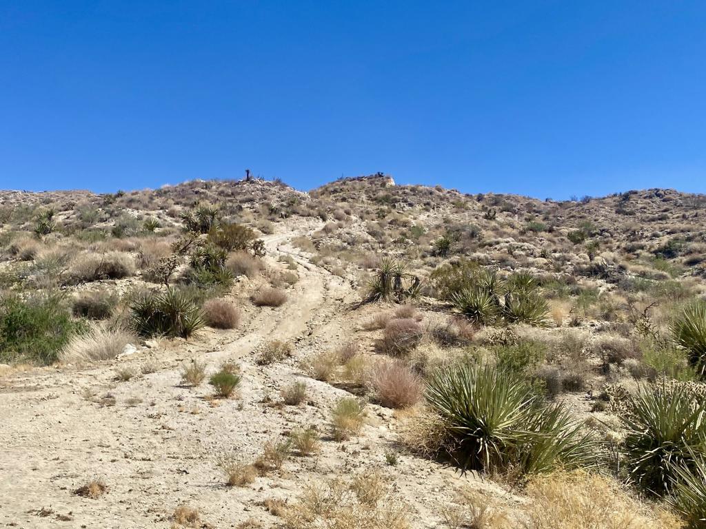 Not Applicable-1 - Land