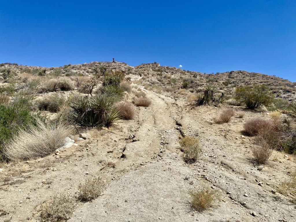 Not Applicable-1 - Land