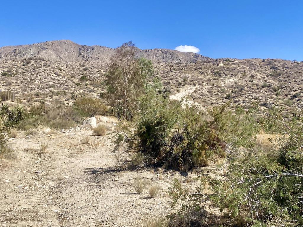 Not Applicable-1 - Land