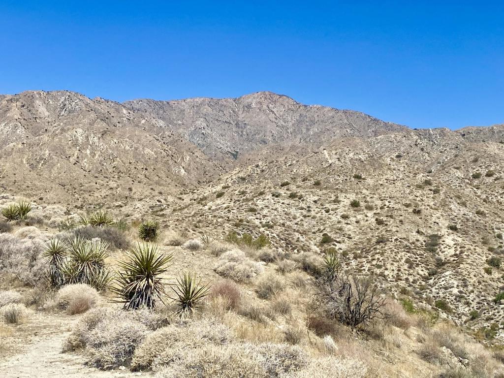 Not Applicable-1 - Land