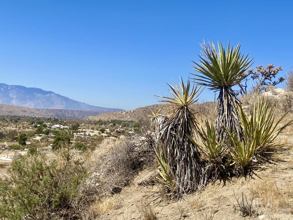 Not Applicable-1 - Land