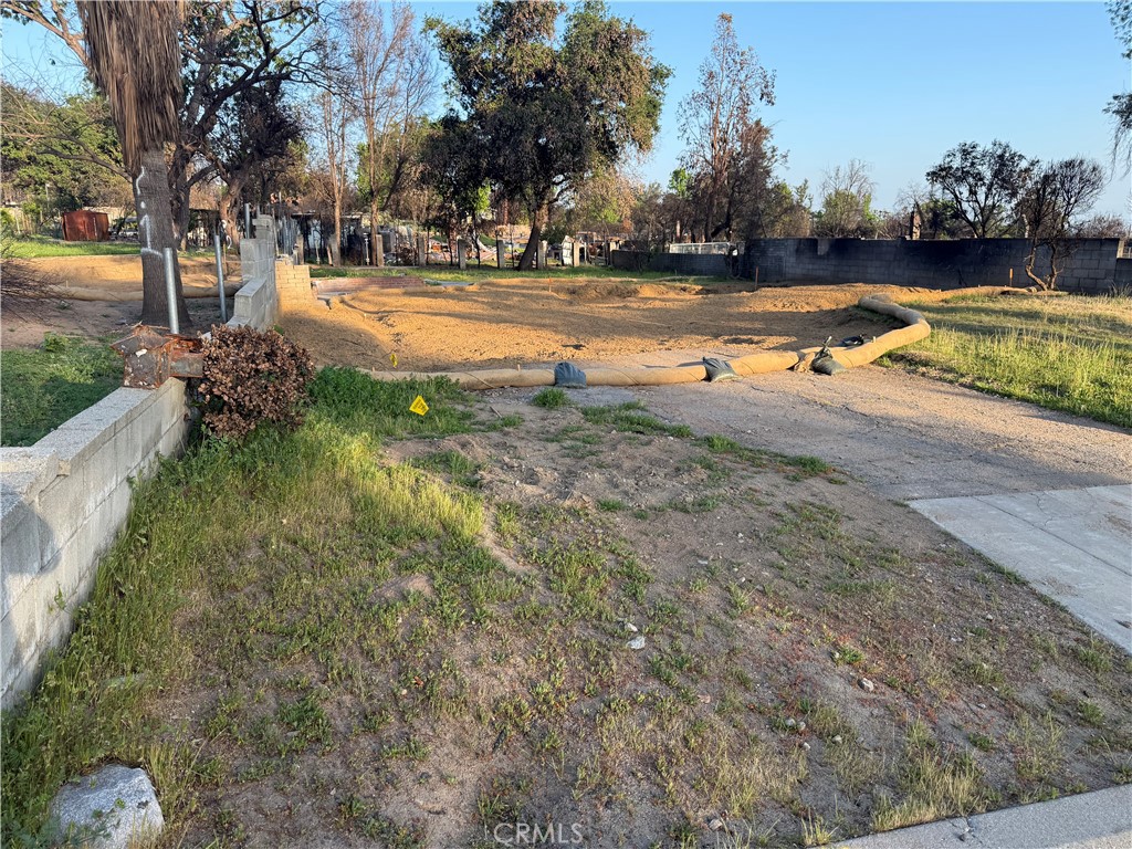 3350 Tonia Avenue
