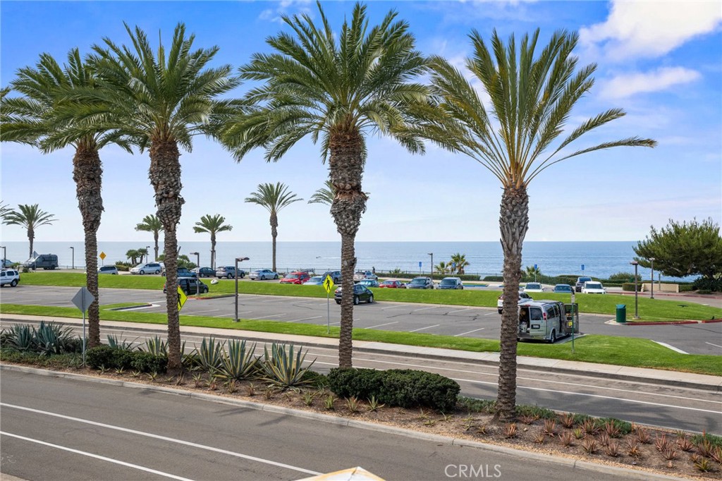 34004 Selva Road 377