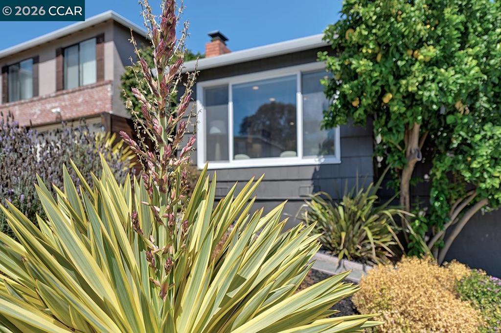 628 Pepper Drive