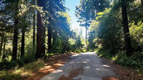 Photo of 1080 Blue Ridge Drive, Boulder Creek, CA 95006 (MLS # ML82057956)