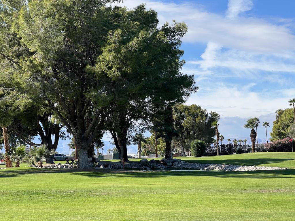 Desert Crest CC - Manufactured In Park