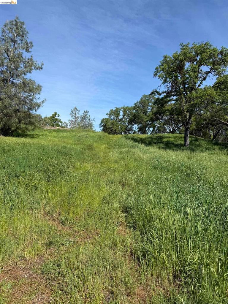 8534 Wilcox Ranch Road