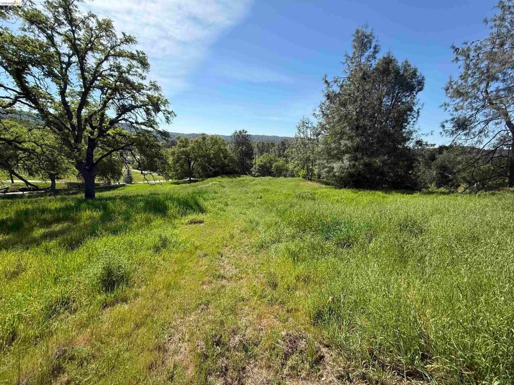 8534 Wilcox Ranch Road