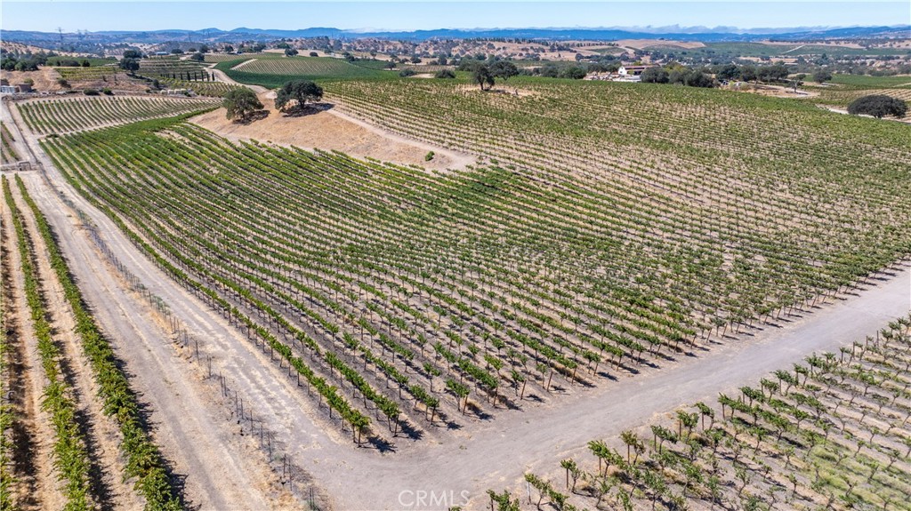 Set in the heart of Paso Robles wine country, this expansive 130 +/- acre vineyard estate offers an incredible opportunity for agricultural, investment and lifestyle pursuits. With 111 +/- acres planted to vineyard, the property is a true working ranch with established vines and room for continued success in one of California’s premier wine regions. The property features three productive wells, ensuring reliable water resources, along with a shop for equipment and storage. An old farmhouse adds a touch of character and potential for restoration or future development. The land also benefits from enrollment in the Williamson Act, providing valuable property tax advantages. Perfectly positioned for both privacy and convenience, the ranch is located near some of Paso Robles’ most notable destinations, including Hunter Ranch Golf Course, Vina Robles Amphitheatre, the Ravine Water Park and the Paso Robles Airport. This central location makes it ideal for agricultural operations, vineyard investment, or as a private retreat. Whether you are looking to expand vineyard operations, create a wine country getaway, or hold a prime agricultural asset, 4825 Mill Rd presents a rare opportunity in the Paso Robles AVA.