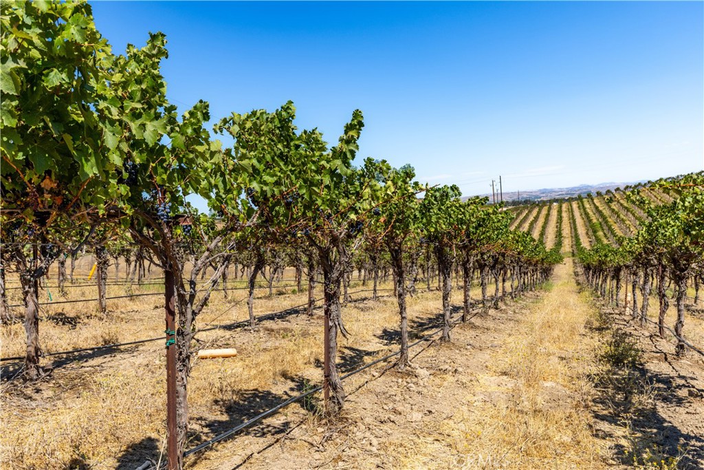 PR Dry Creek(270) - Residential