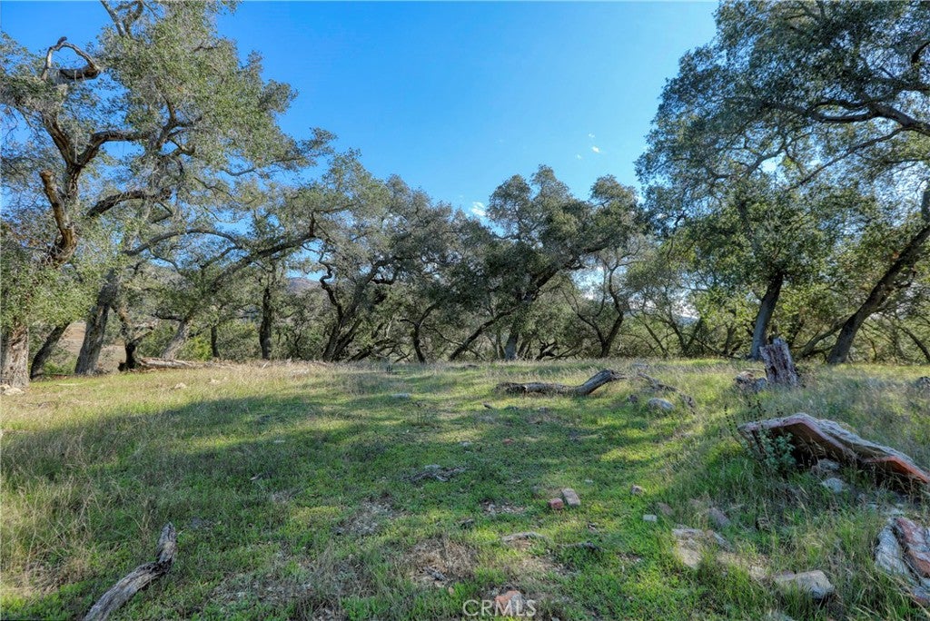41 Bernice Draper Court
