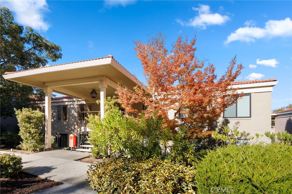 3117 Terra Granada Drive 1