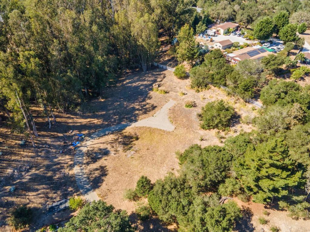 509 Carpenteria Road