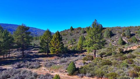 Photo of 1 Butterfly Peak Road, Mountain Center, CA 92561 (MLS # 219141481DA)
