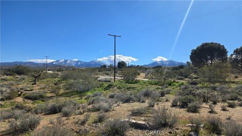 Photo of 0 Valyermo Road, Pearblossom, CA 93553 (MLS # SR26038334)