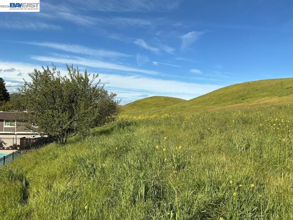 1366 1366 Callen St C