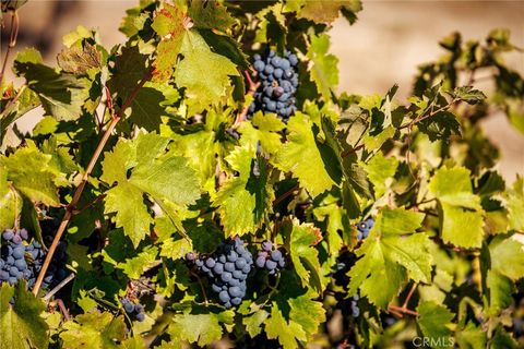 Tiny photo for 3000 Oakdale Rd., Paso Robles, CA 93446 (MLS # SC25259304)