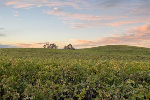 Tiny photo for 3000 Oakdale Rd., Paso Robles, CA 93446 (MLS # SC25259304)