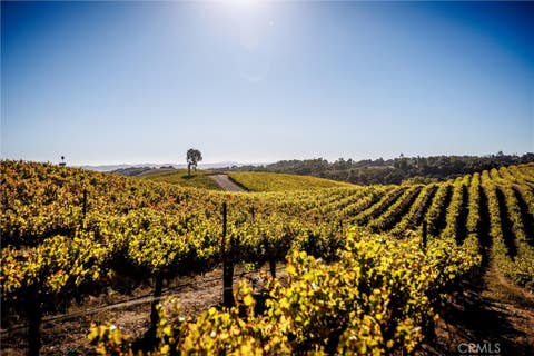Tiny photo for 3000 Oakdale Rd., Paso Robles, CA 93446 (MLS # SC25259304)
