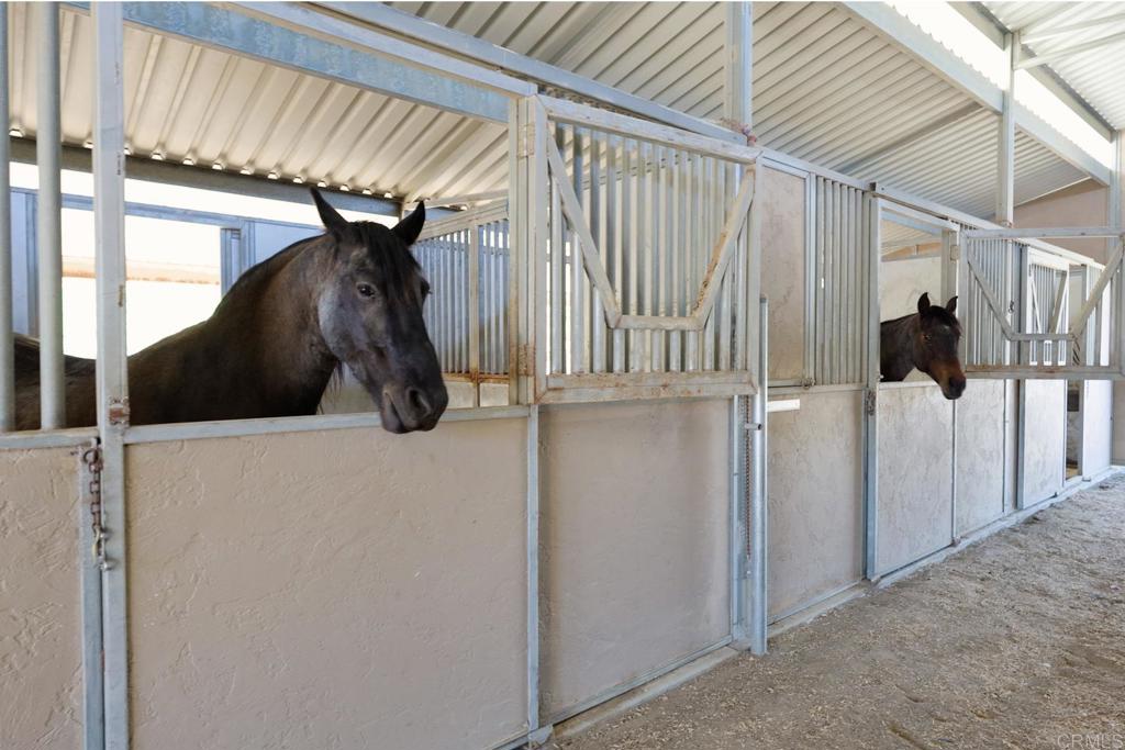 161 Lemon Grove Drive