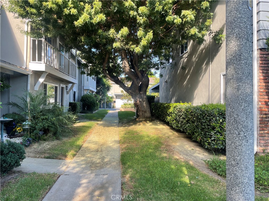 1777 Mitchell